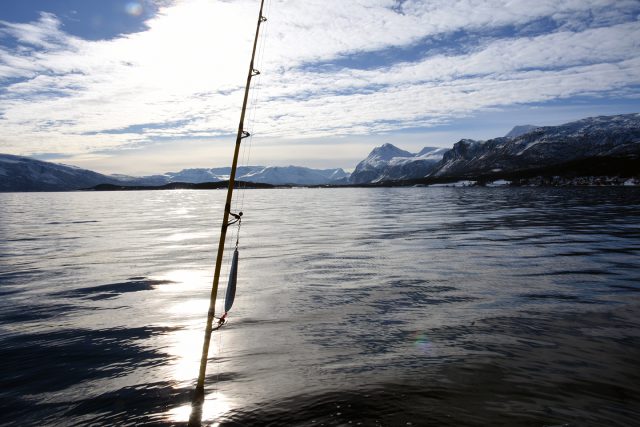 fischen-norwegen