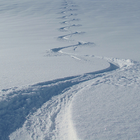 Skitourenreisen Valle Stura Piemont Italien mit Bergführer Paul Held