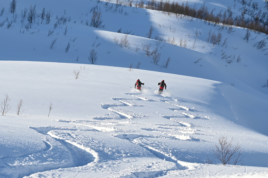 powder sunnmore skitouren norwegen