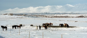 Skitour Islandski touring iceland